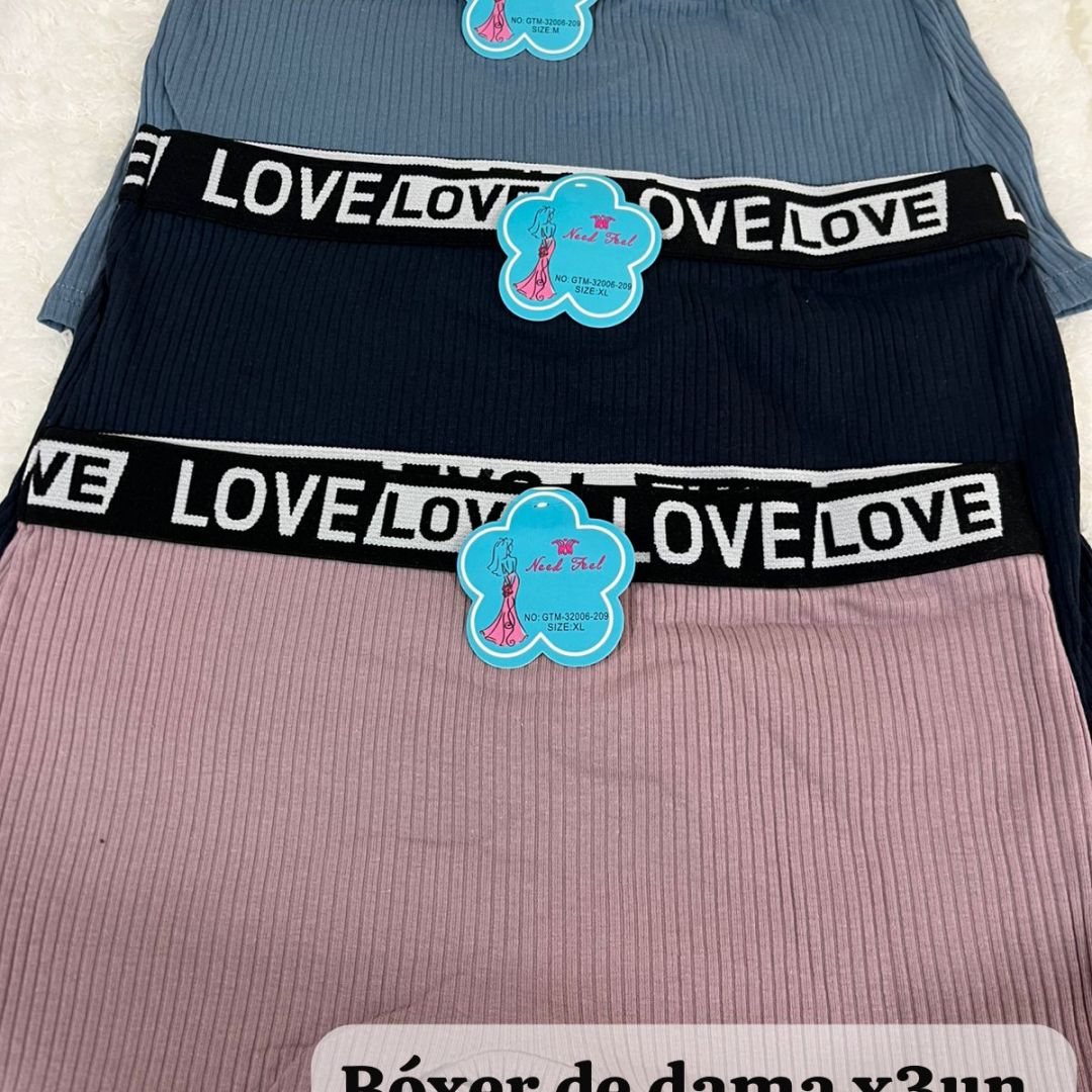 docena-de-boxer-dama-756